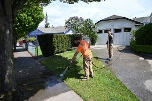 Edmonds Trenchless sewer repair cleanout