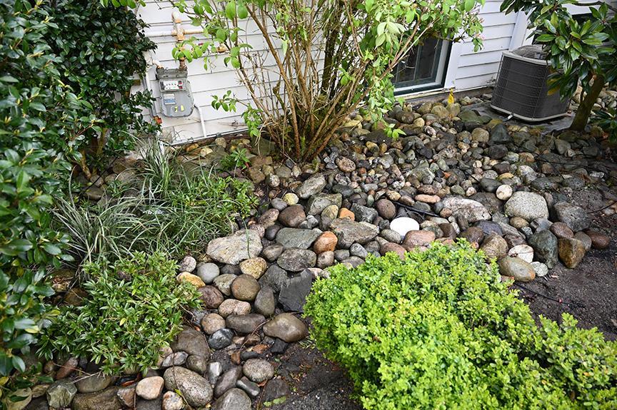 trenchless sewer repair in Edmonds, WA